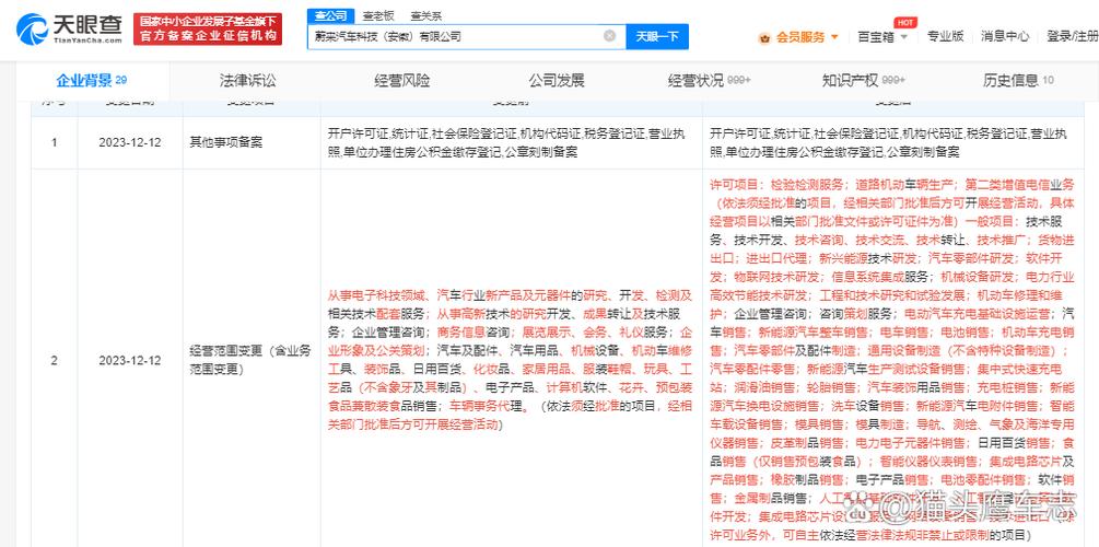 电动汽车充电基础设施运营,新能源汽车整车销售,人工智能基础软件开发